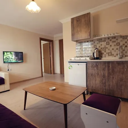 Berceste Apart Apartment *